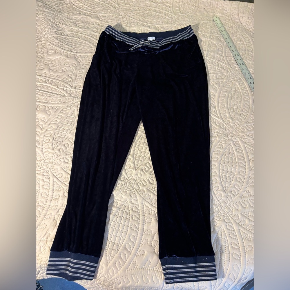 Splendid Navy Velvet Pants